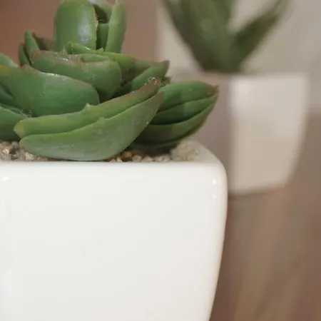 Croatian Apartamento *