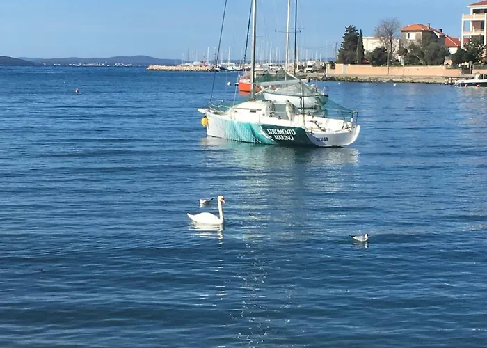 Croatian Διαμέρισμα *